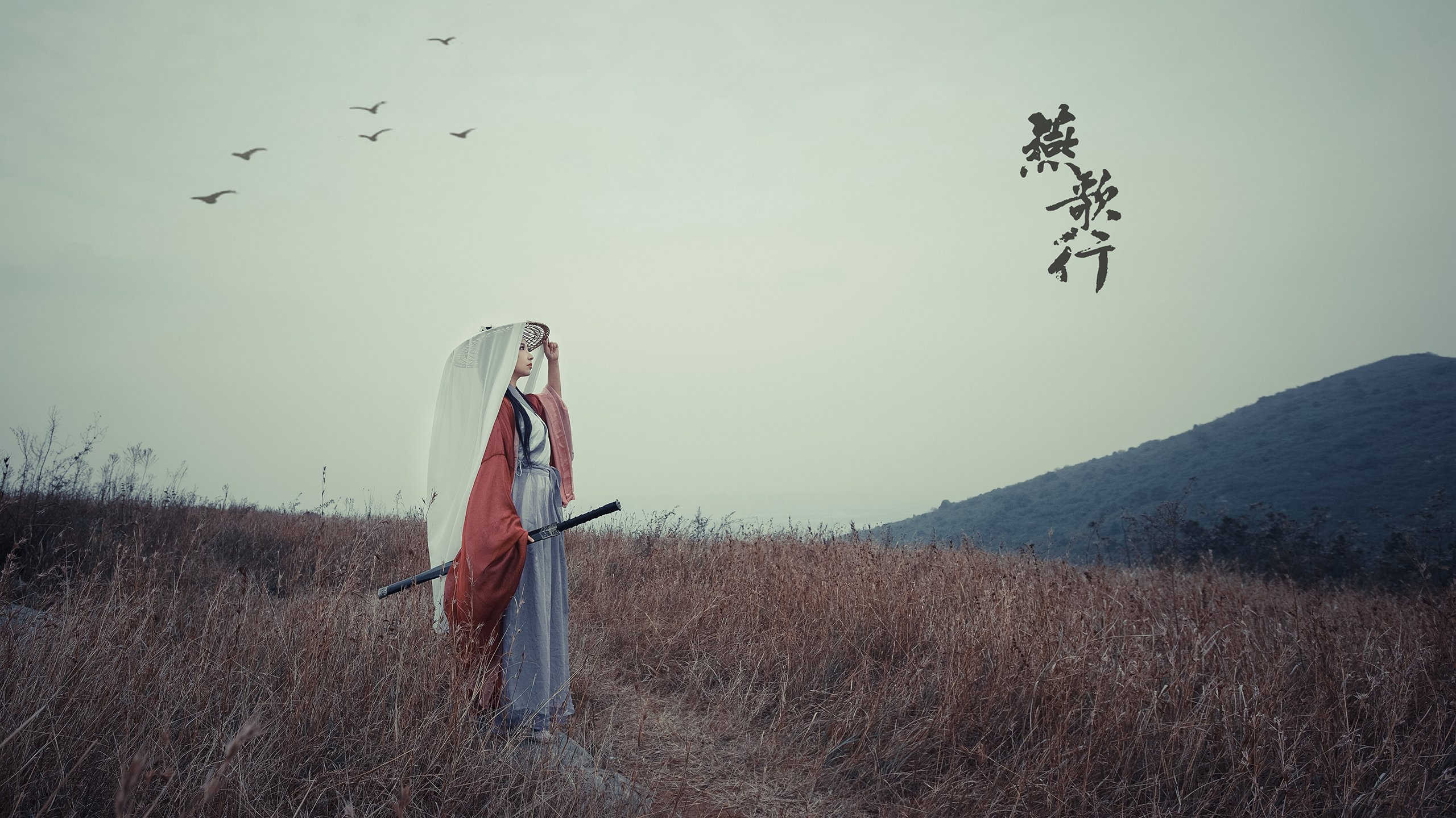 法甲比赛高潮迭起，战术调整显著，精彩进球频出，法甲的比赛