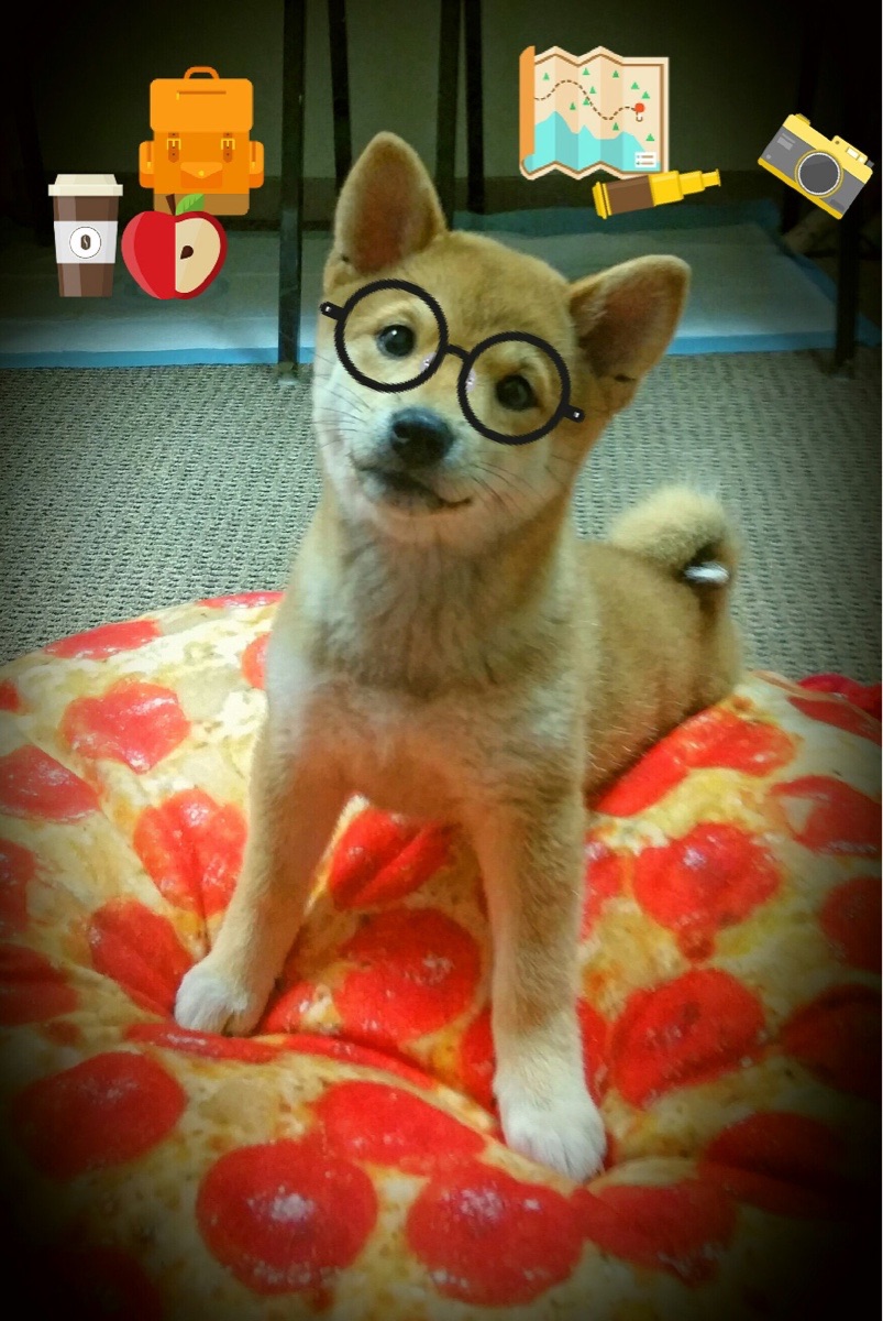 NBA官方账号转播电竞比赛引热议,2021年nba转播平台