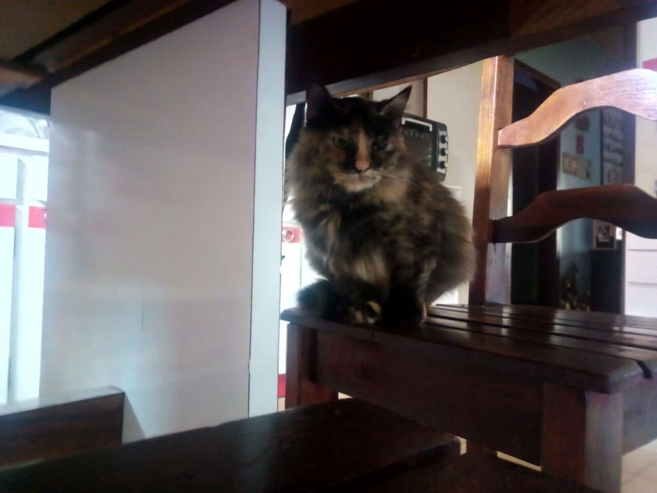 开拓者骑士激战，场上打法展现精彩绝伦，开拓者对骑士央视