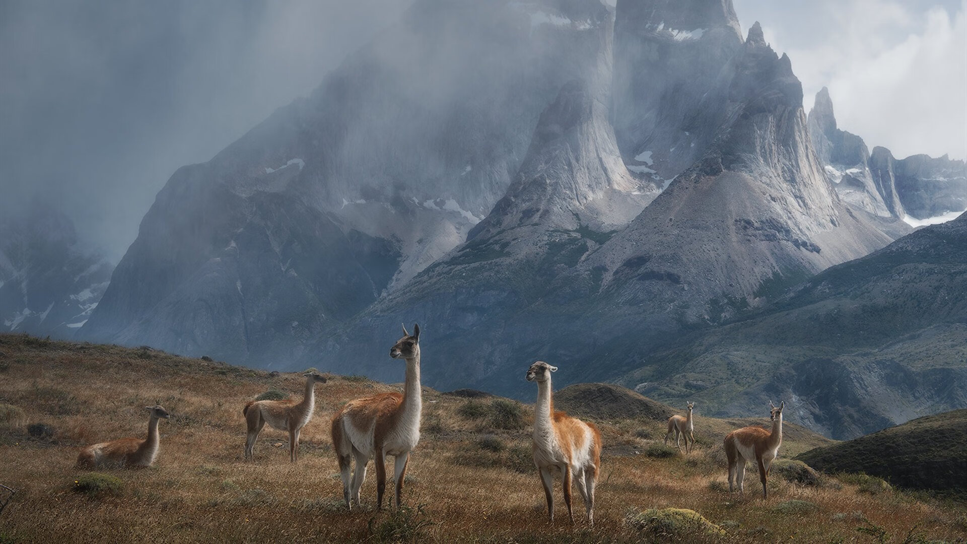 NBA赛季三分球命中率统计报告,nba常规赛三分球命中率