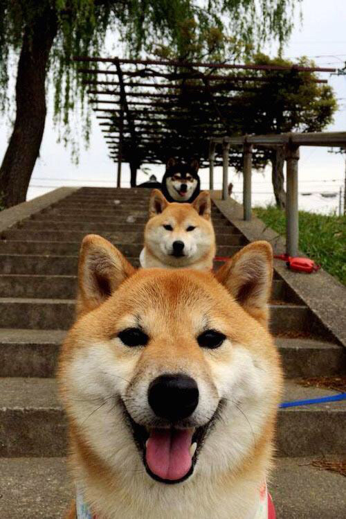 控卫在快速反击中的决策思维拆解，控卫打法思路