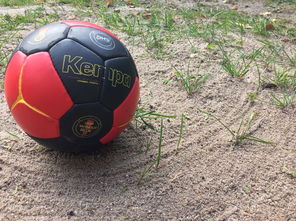 中国篮球推动青少年比赛规则标准统一促进公平竞争，篮球青少年联赛