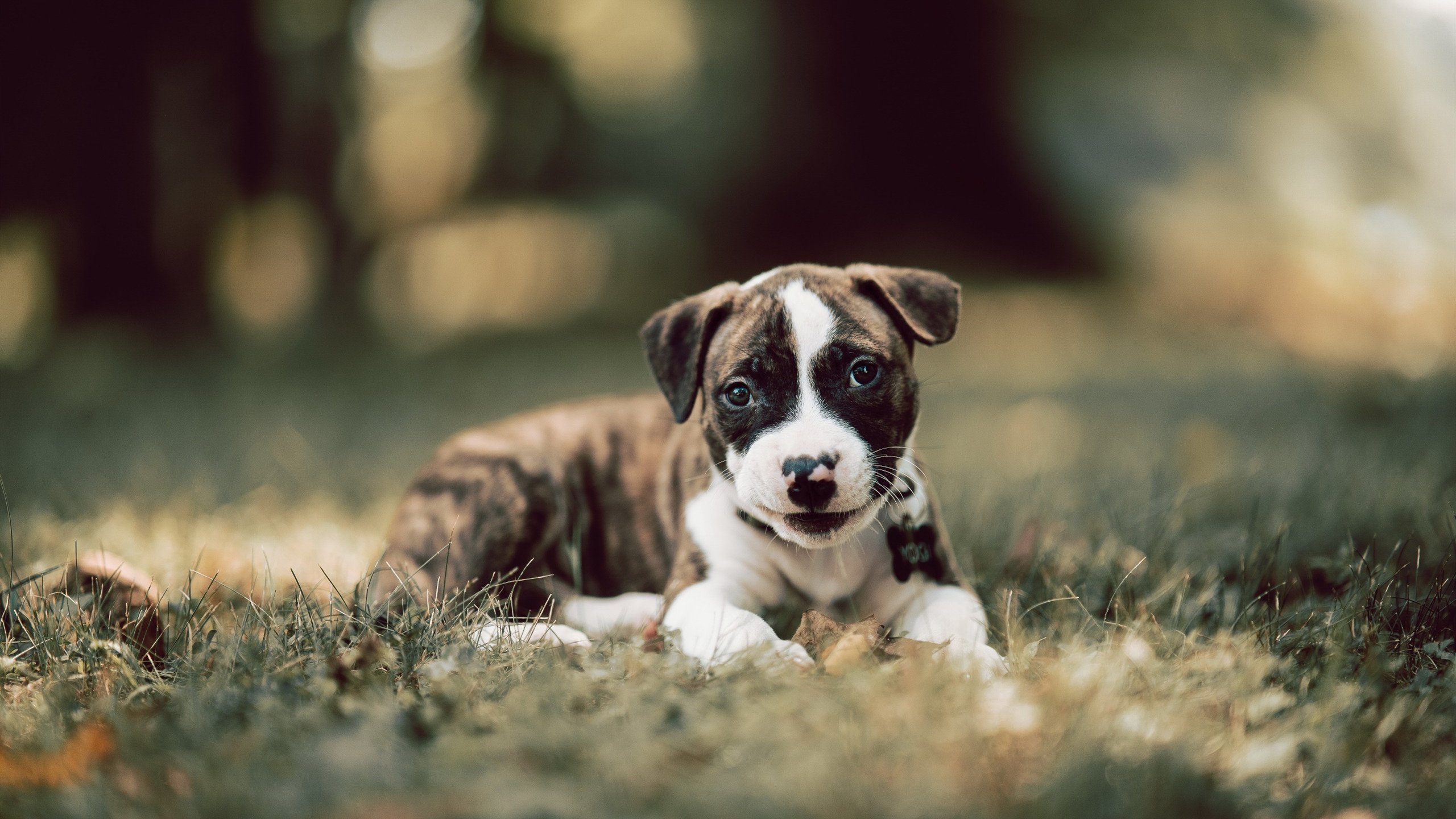 新援到队后第一堂训练课表现积极迅速融入团队氛围