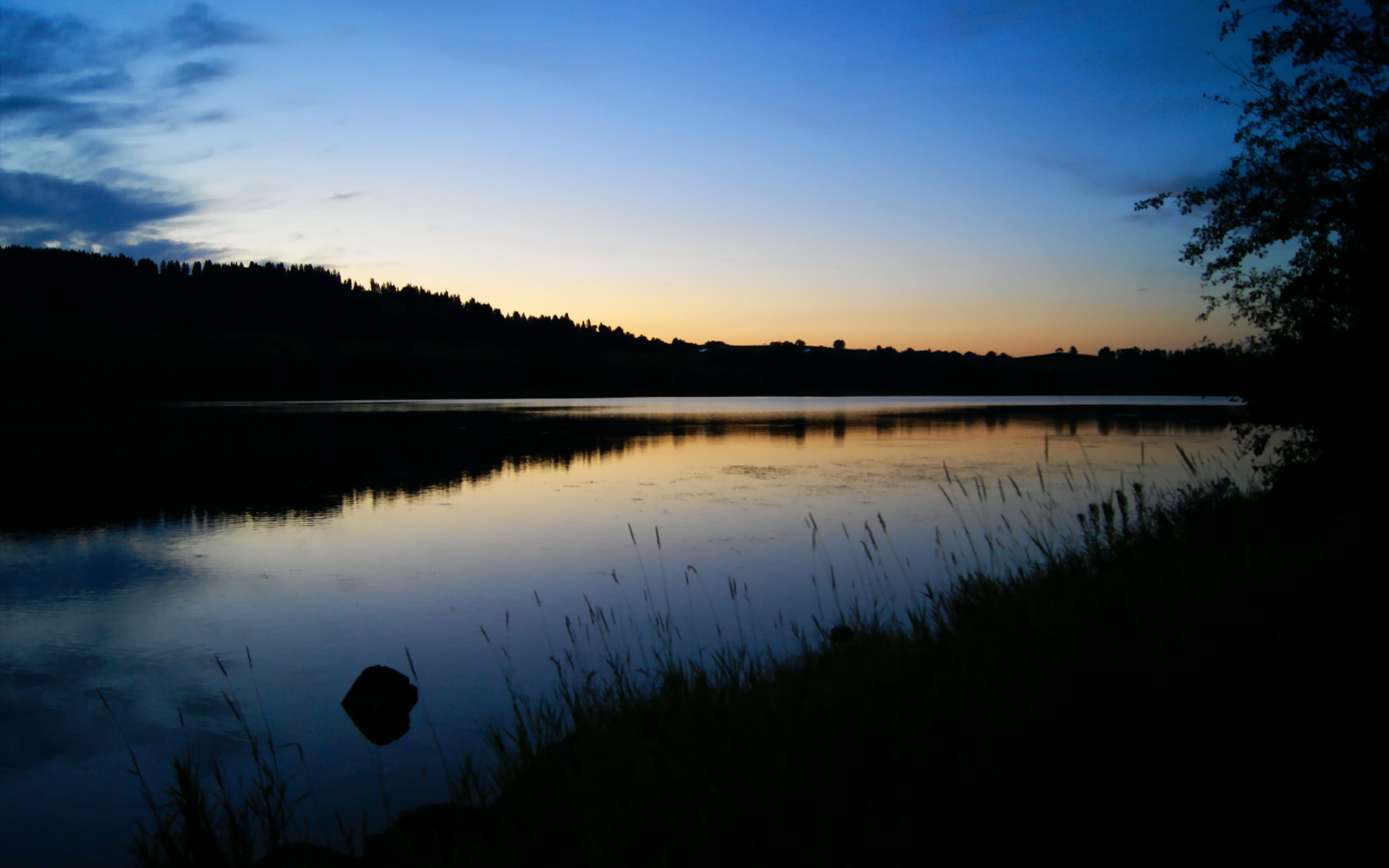 新西兰青训体制加强,如何为橄榄球未来注入新活力?,新西兰橄榄球国家队